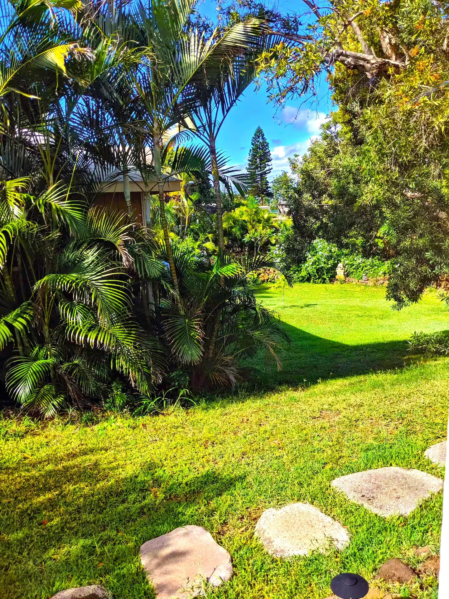Lush tropical garden view