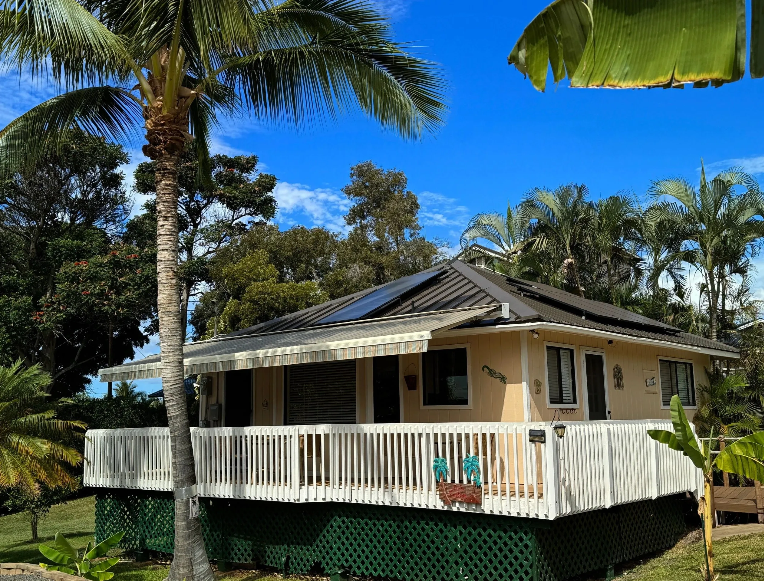 Palm Cottage exterior with tropical landscaping
